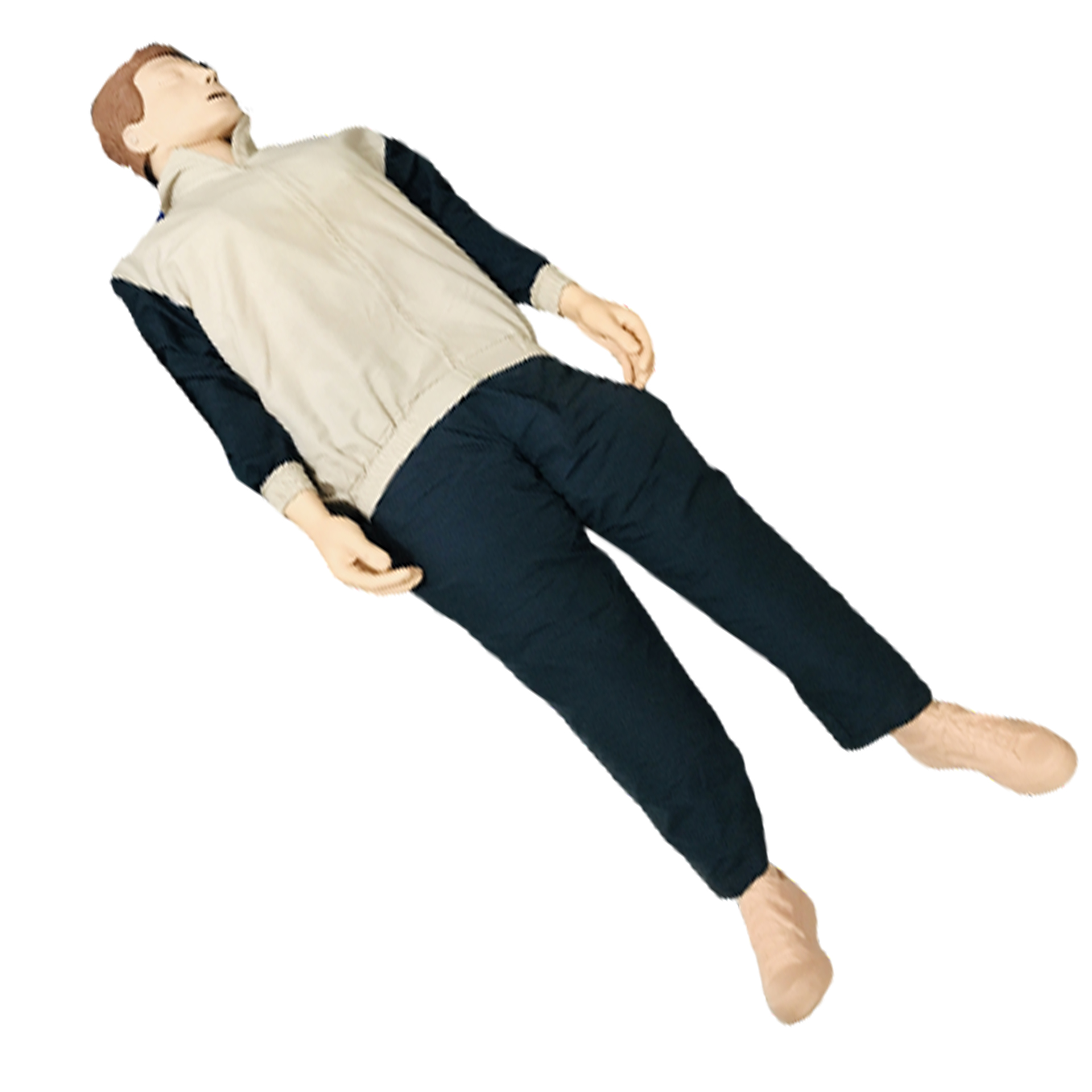 Model Resusitasi Dewasa/ Rever Basic Image